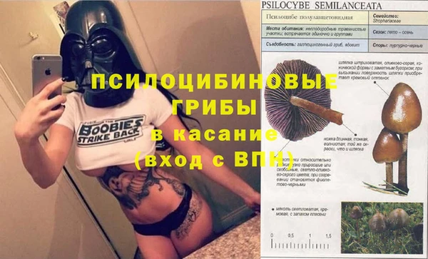 гашик Балабаново