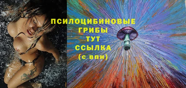 гашик Балабаново