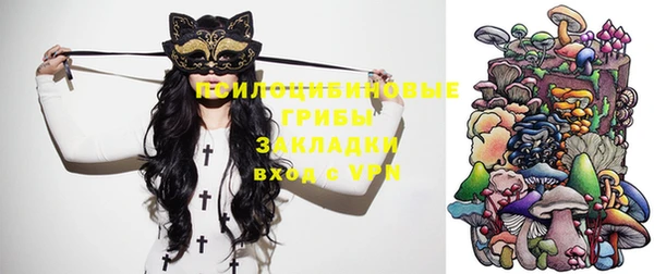 гашик Балабаново