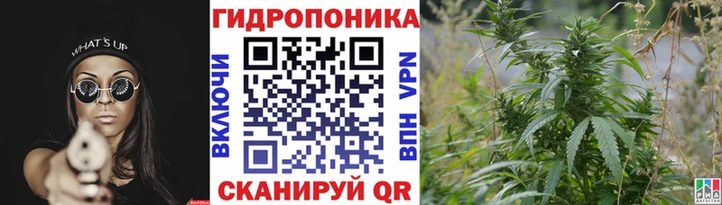 Каннабис THC 21%  Бугульма 